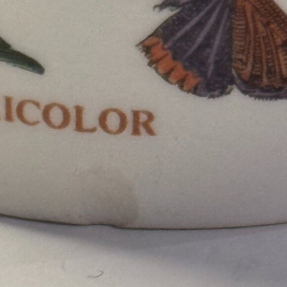 Portmeirion Botanic Garden Saucers (5) + 3 Cups Chipped | Floral Variation - Picture 10 of 12